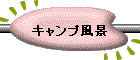 Lvi