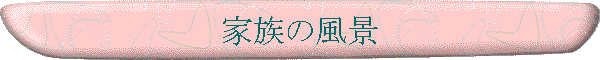 Ƒ̕i