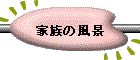 Ƒ̕i