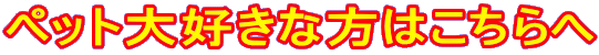 ybgDȕ͂ 