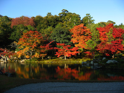 曹源池庭園その１