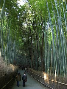 竹林の道