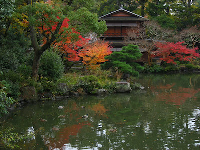 京都御苑その４