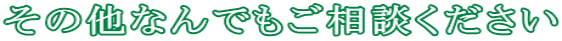 ̑Ȃłk