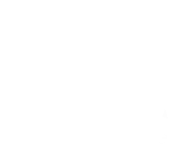 Light Blue 繝ｭ繧ｴ