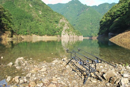 ダム湖での鯉釣り
