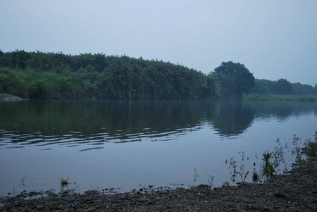 多摩川中流域の鯉釣り場