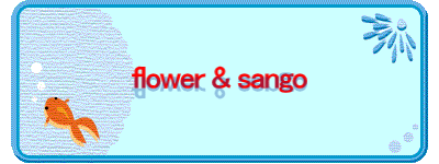 flower & sango