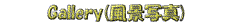 M[Pւ̃N