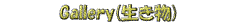 M[Qւ̃N