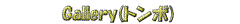 M[Qւ̃N