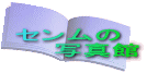 Z @@ʐ^ 