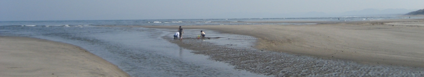吹上浜③.jpg