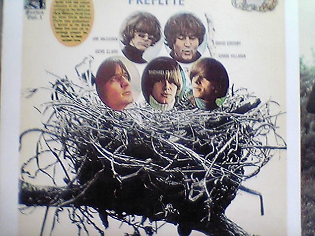 バーズ プリフライト 画像4