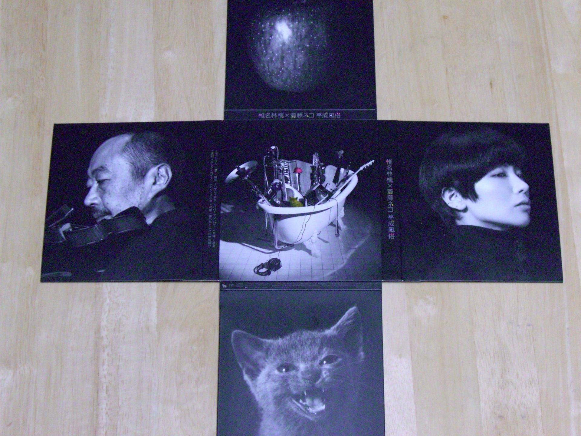 椎名林檎×斉藤ネコ「平成風俗」