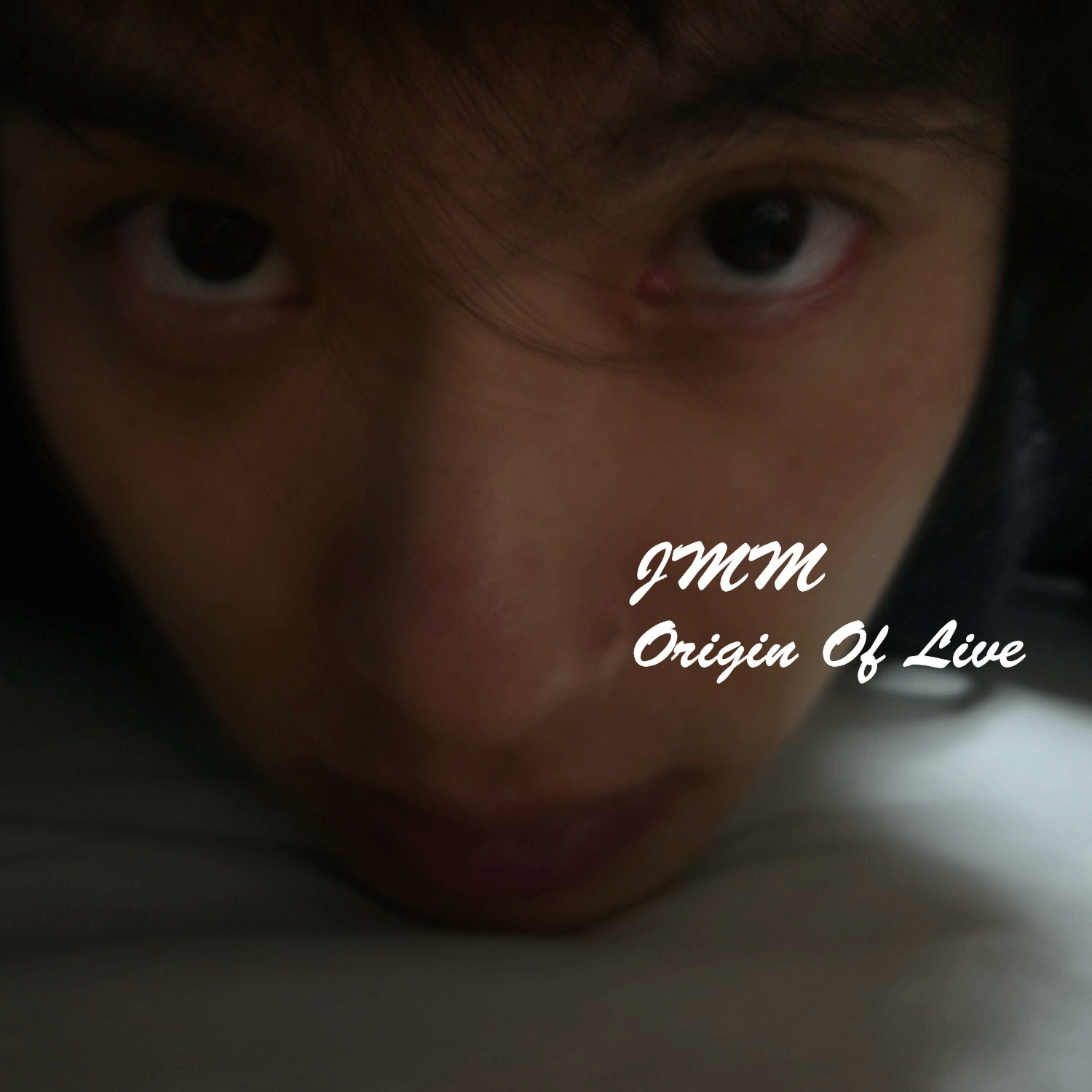 ORIGIN OF LIVE ￥1.500-