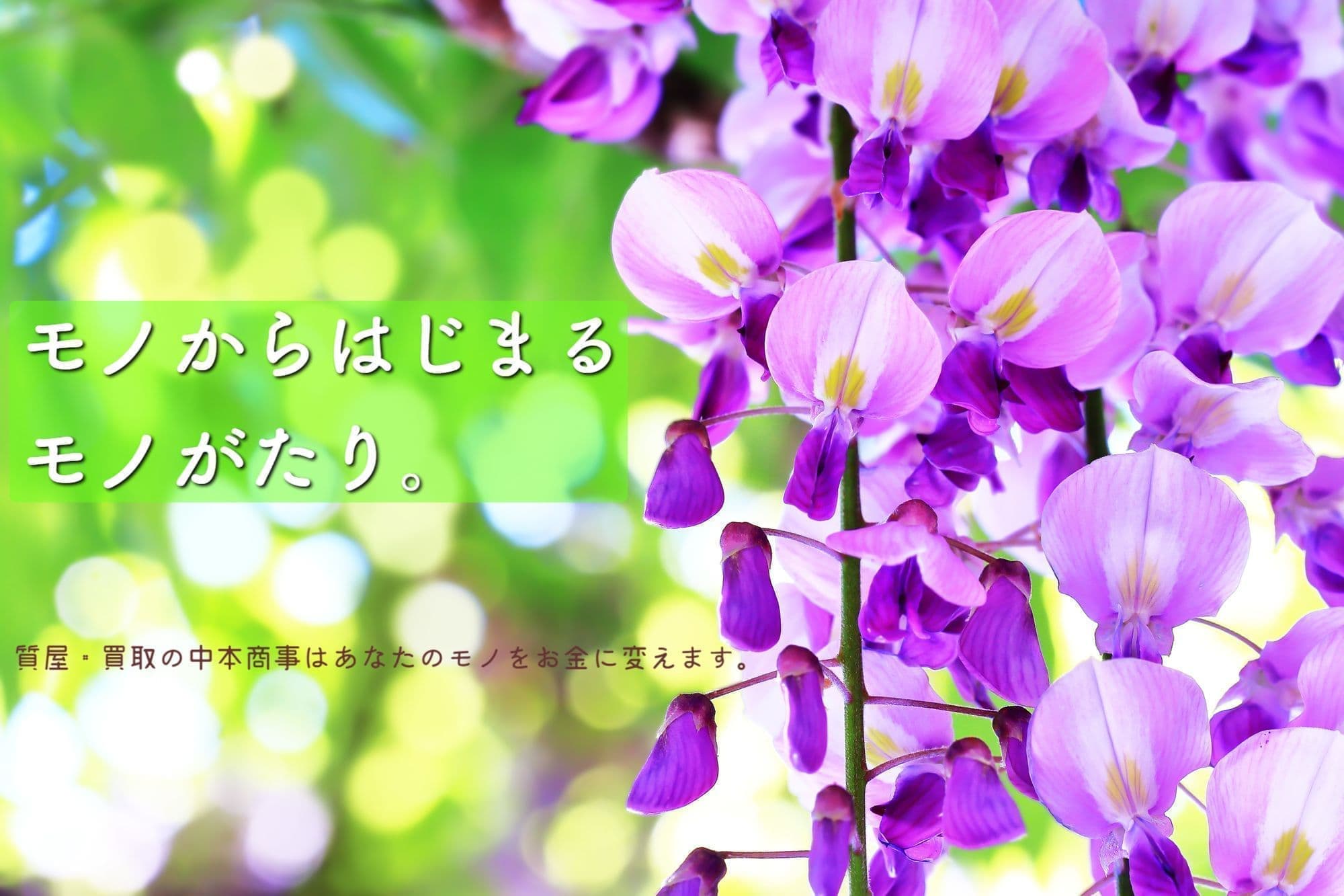 モノからはじまるモノがたり　藤の花