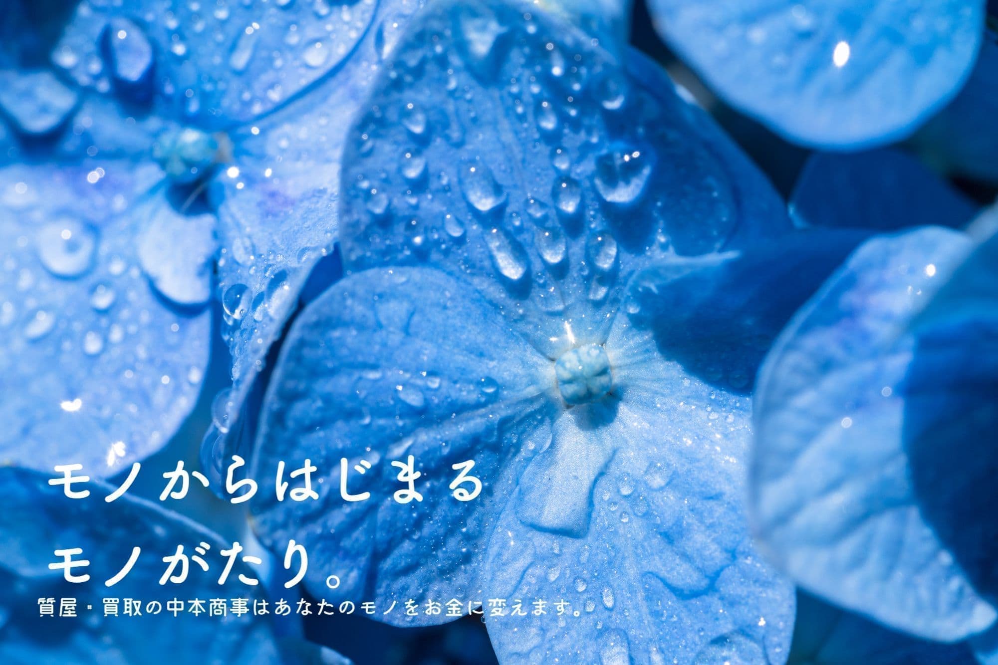 モノからはじまるモノがたり　あじさい