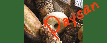 ܂Ȃ݊C̃p Paysan@EEÊg̍̋{wZ̃oXPbg{[̓̑fGȂXł