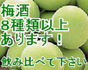 ~@8ވȏゲp!!