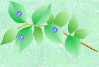 song077019.jpg