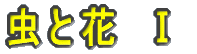 Ɖ