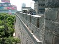 P5190040.jpg