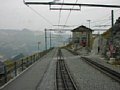 p8140006.jpg