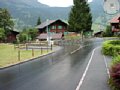 p8140041.jpg