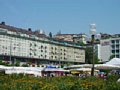 p8160158.jpg