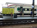 p8170021.jpg