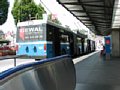 p8080246.jpg