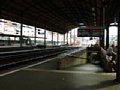 p8090335.jpg