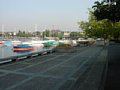p8070042.jpg