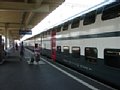 p8070172.jpg