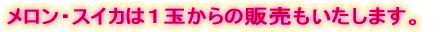 EXCJ͂Pʂ̔̔Ă܂