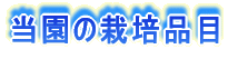 ͔̍|i