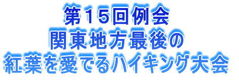 第15回例会 関東地方最後の 紅葉を愛でるハイキング大会