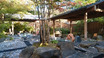 湯の花茶屋新左衛門の湯