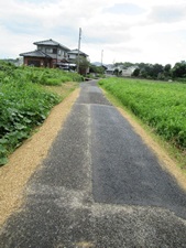 道路