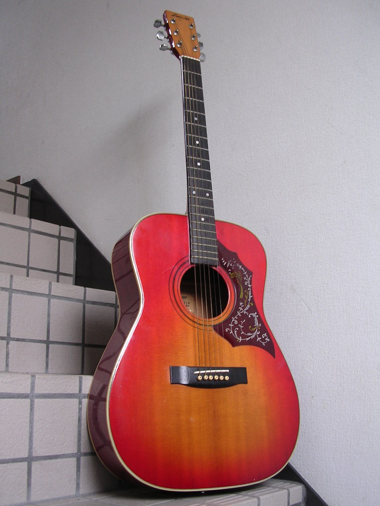 Vintage 1970's Japanese Zenon Hummingbird Acoustic guitar MADE IN JAPAN eBay
