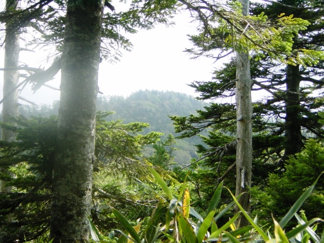 男鹿岳全景