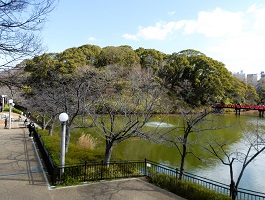 2.茶臼山と河底池