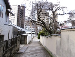 9-3.⑤口縄坂下部