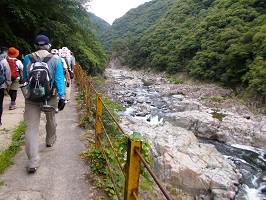 武庫川渓谷(名塩側）