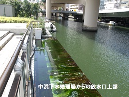 中浜下水処理場放流口上部安政大津波の碑