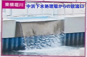 5.中浜下水処理場からの放流口