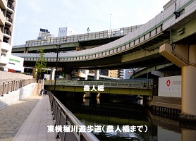 7.東横堀川（農人橋）