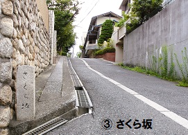 8.さくら坂