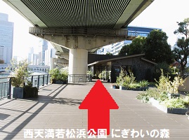 7.西天満若松浜公園にぎわいの森